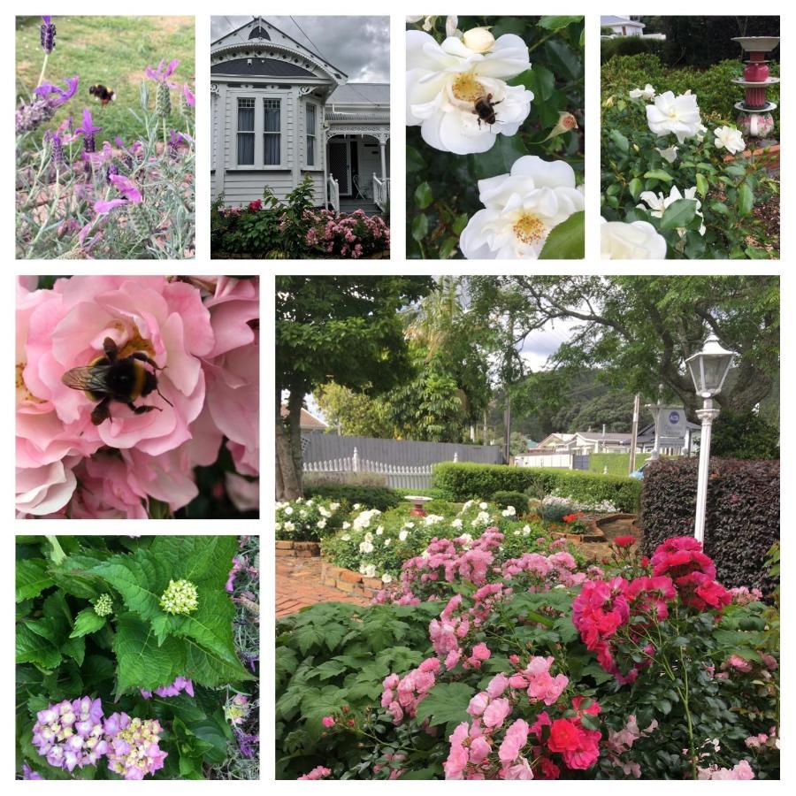 Chelsea House Bed & Breakfast Whangarei Εξωτερικό φωτογραφία